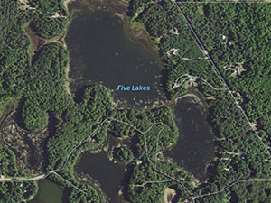 Five Lakes Homes and Land for Sale